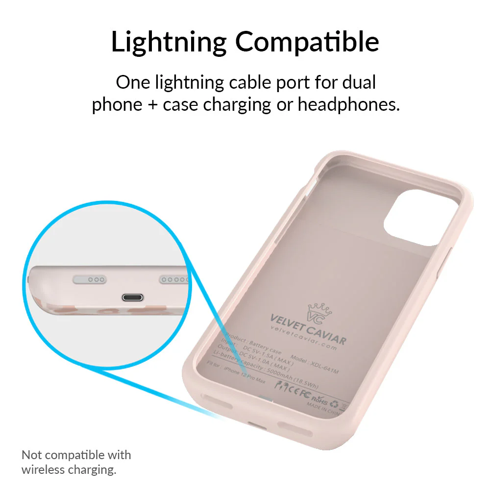 Blush Leopard iPhone Charging Case - Image 72