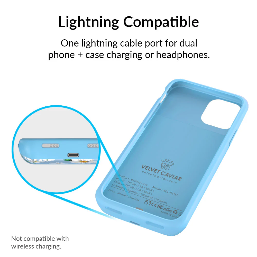 Daisy iPhone Charging Case - Image 84